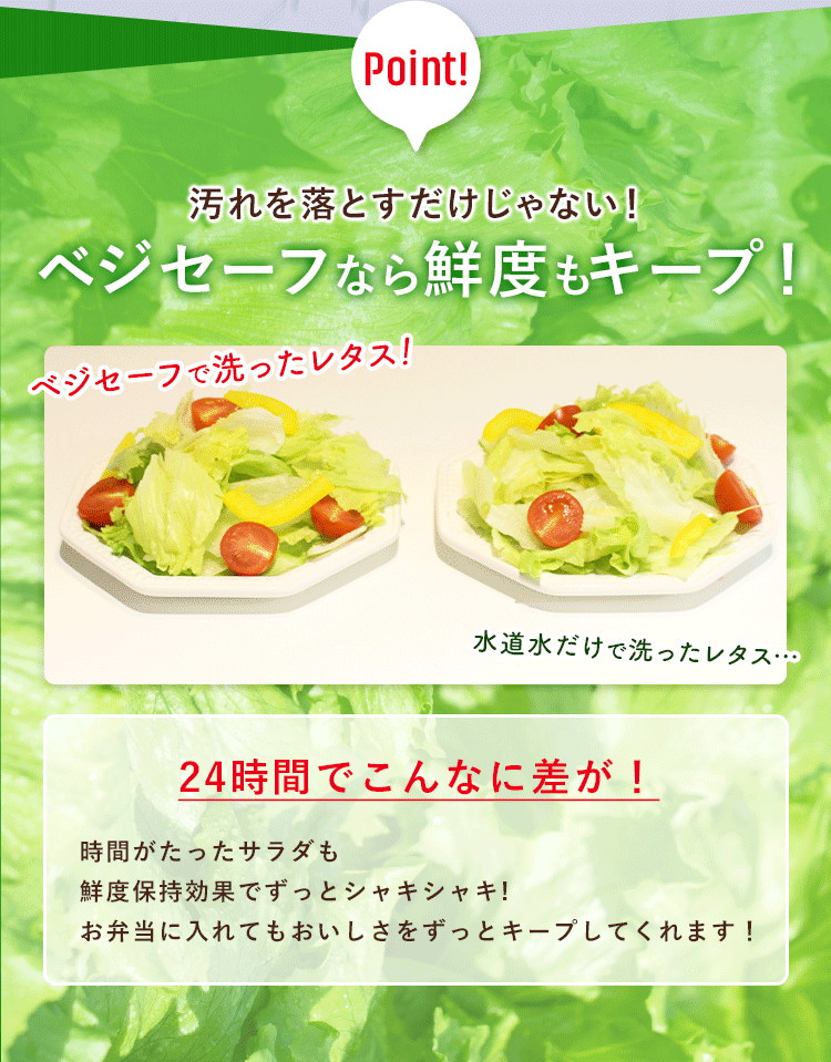 汚れを落とすだけじゃない!ベジセーフなら鮮度もキープ! 24時間でこんなに差が!時間がたったサラダも鮮度保持効果でずっとシャキシャキ!お弁当に入れてもおいしさをずっとキープしてくれます!