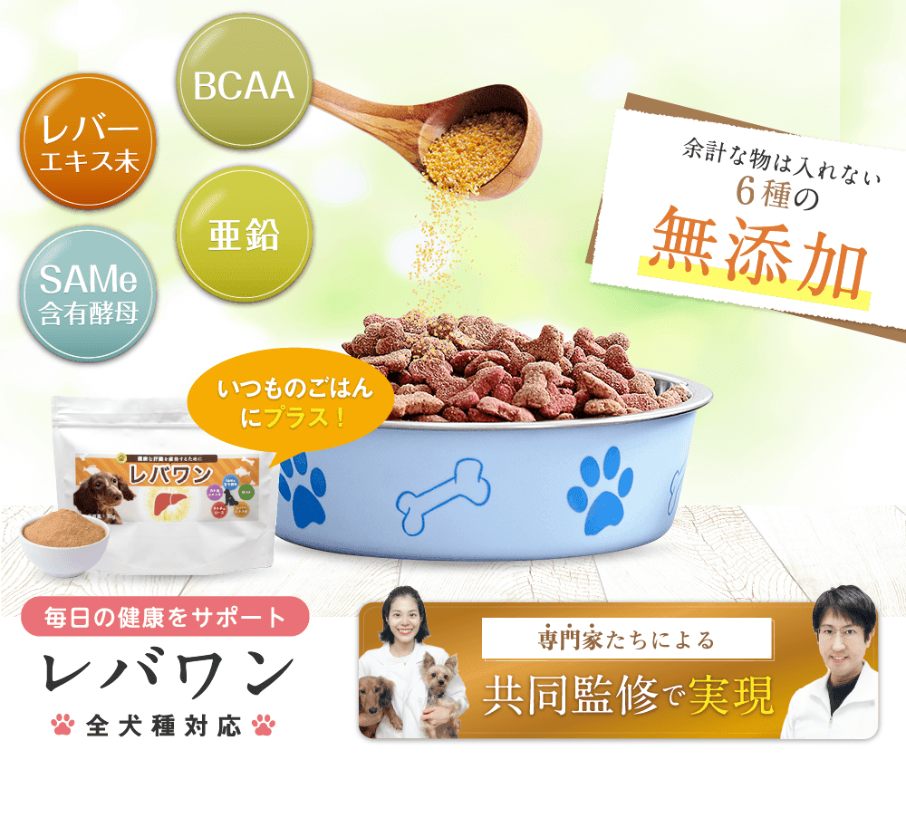 毎日の健康をサポート