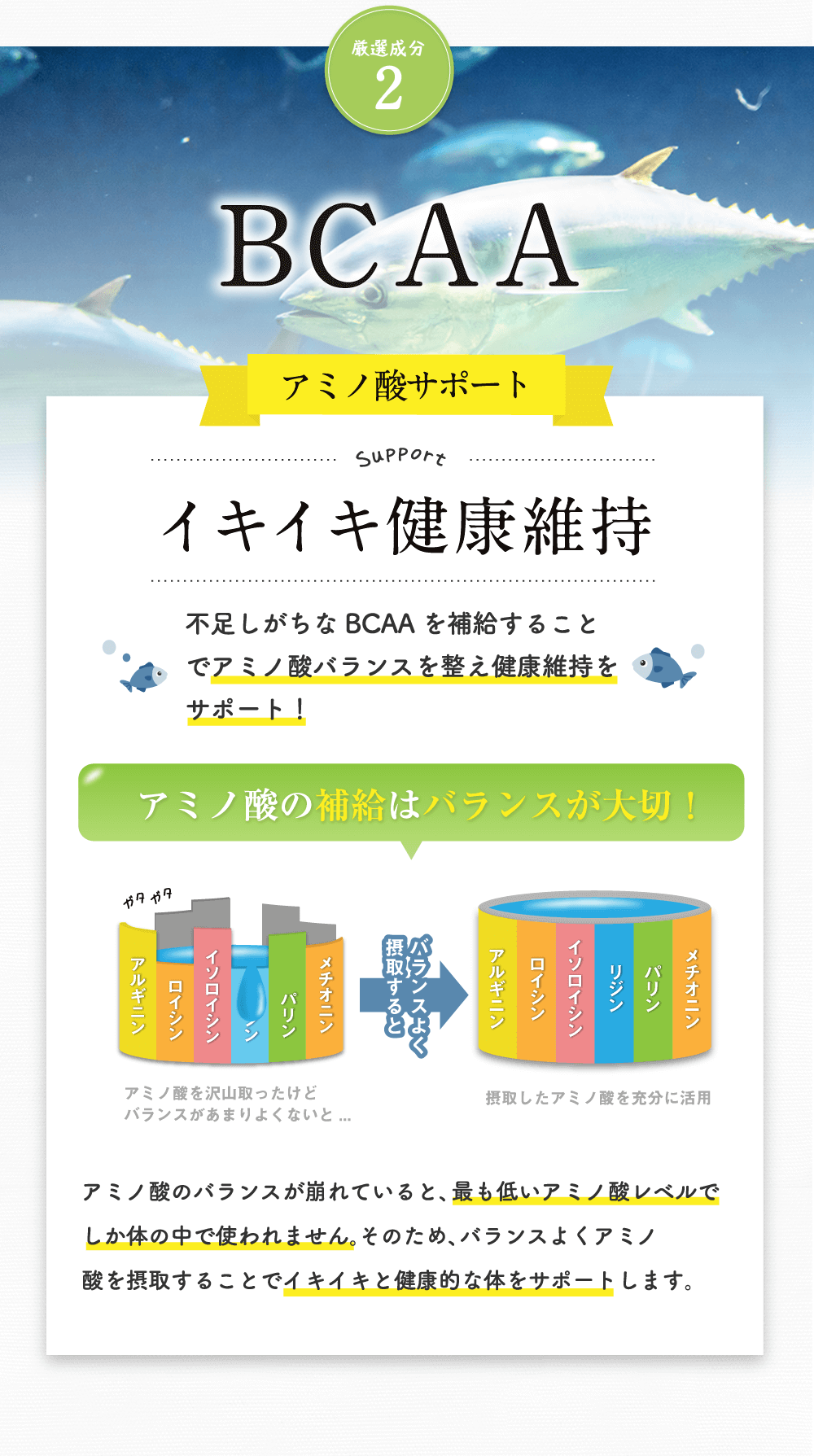 厳選成分2BCAA