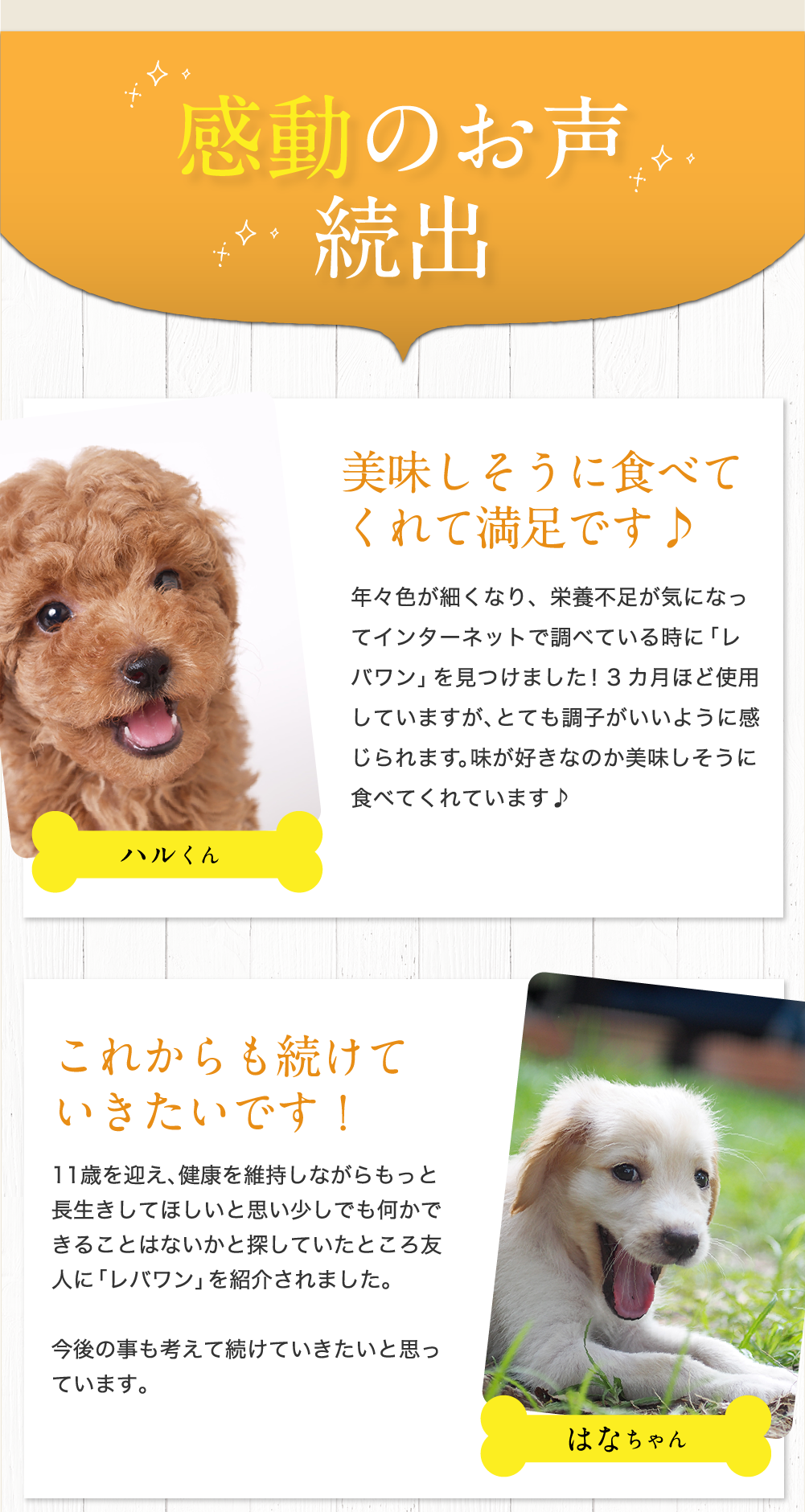 飼い主様から感動のお声続出