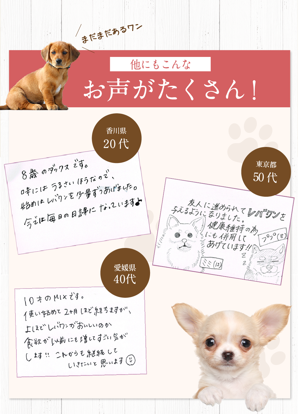 飼い主様から感動のお声続出