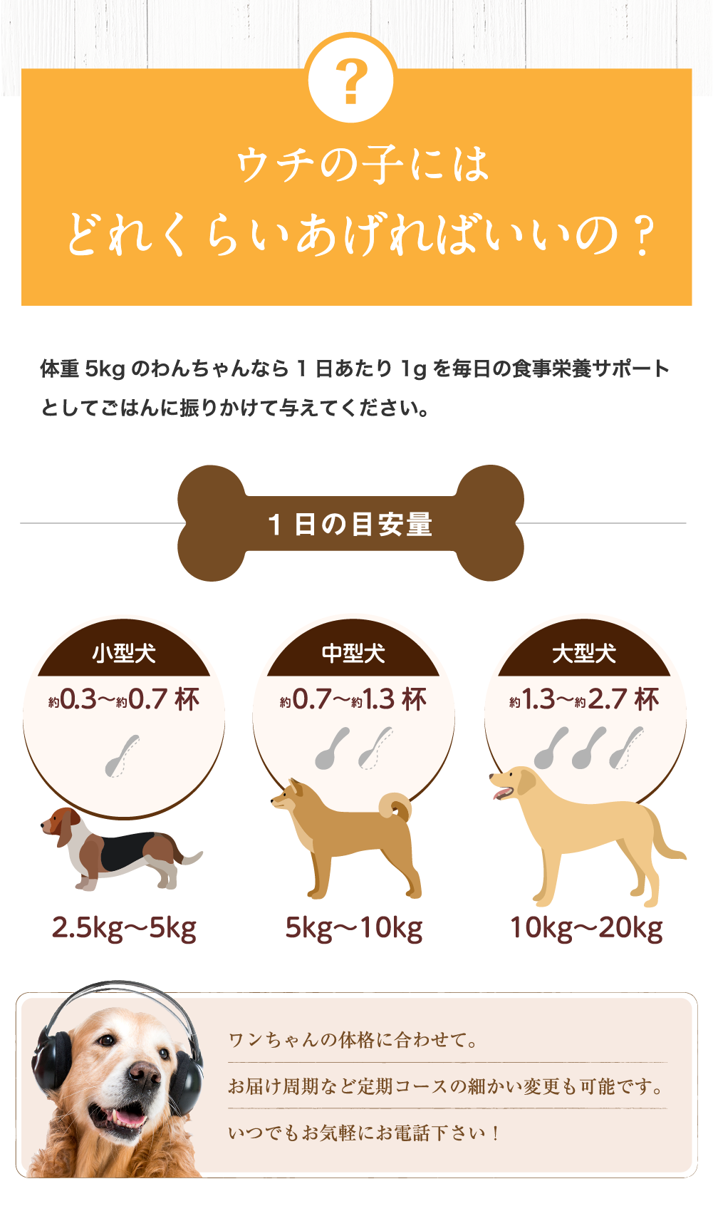 どれくらいあげればいいの?