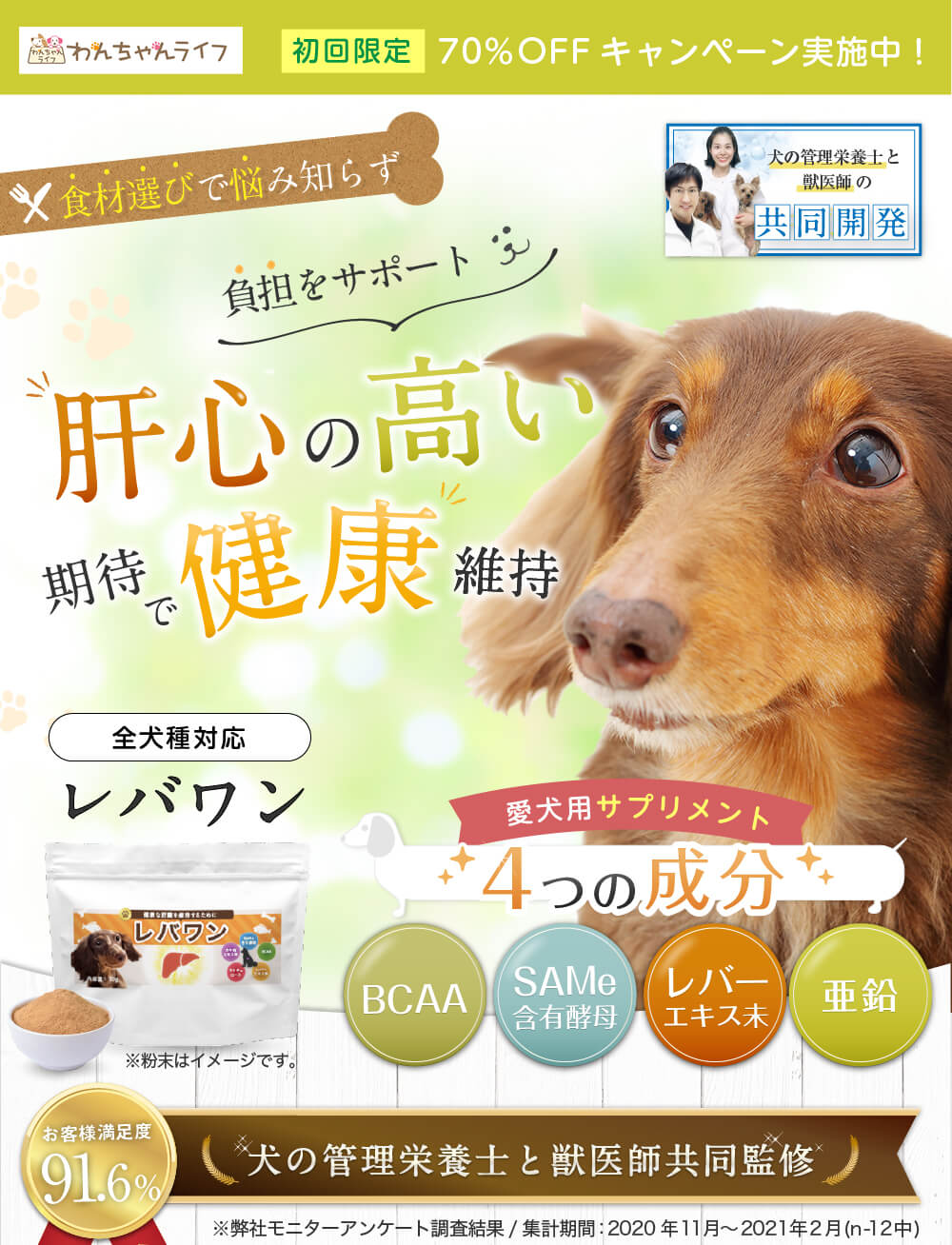 毎日の食事のサポートわんちゃんの健康を維持し長生き