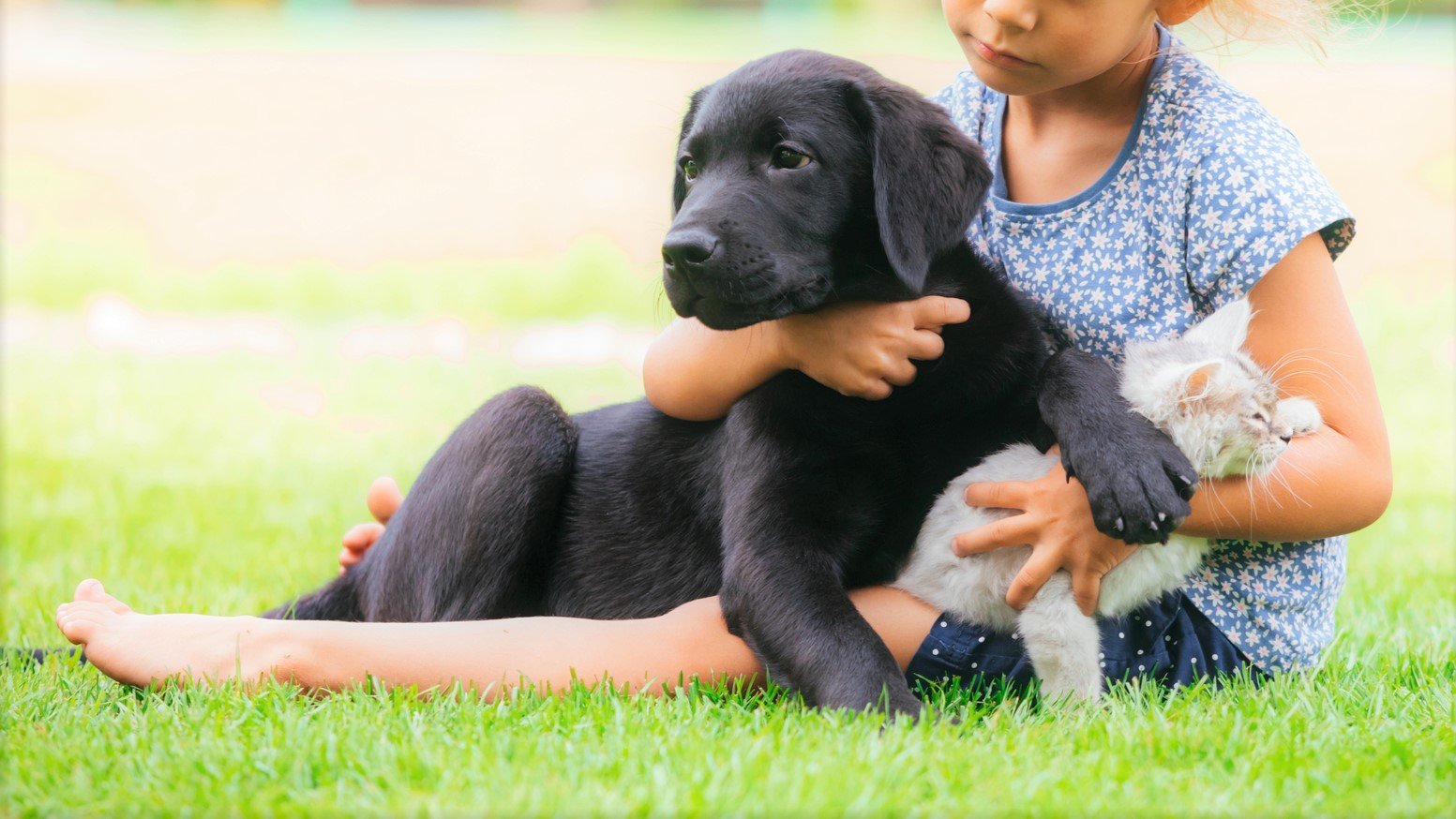 大切な家族の健康のために 犬 猫にも 菌ケア が必要な理由 Kins